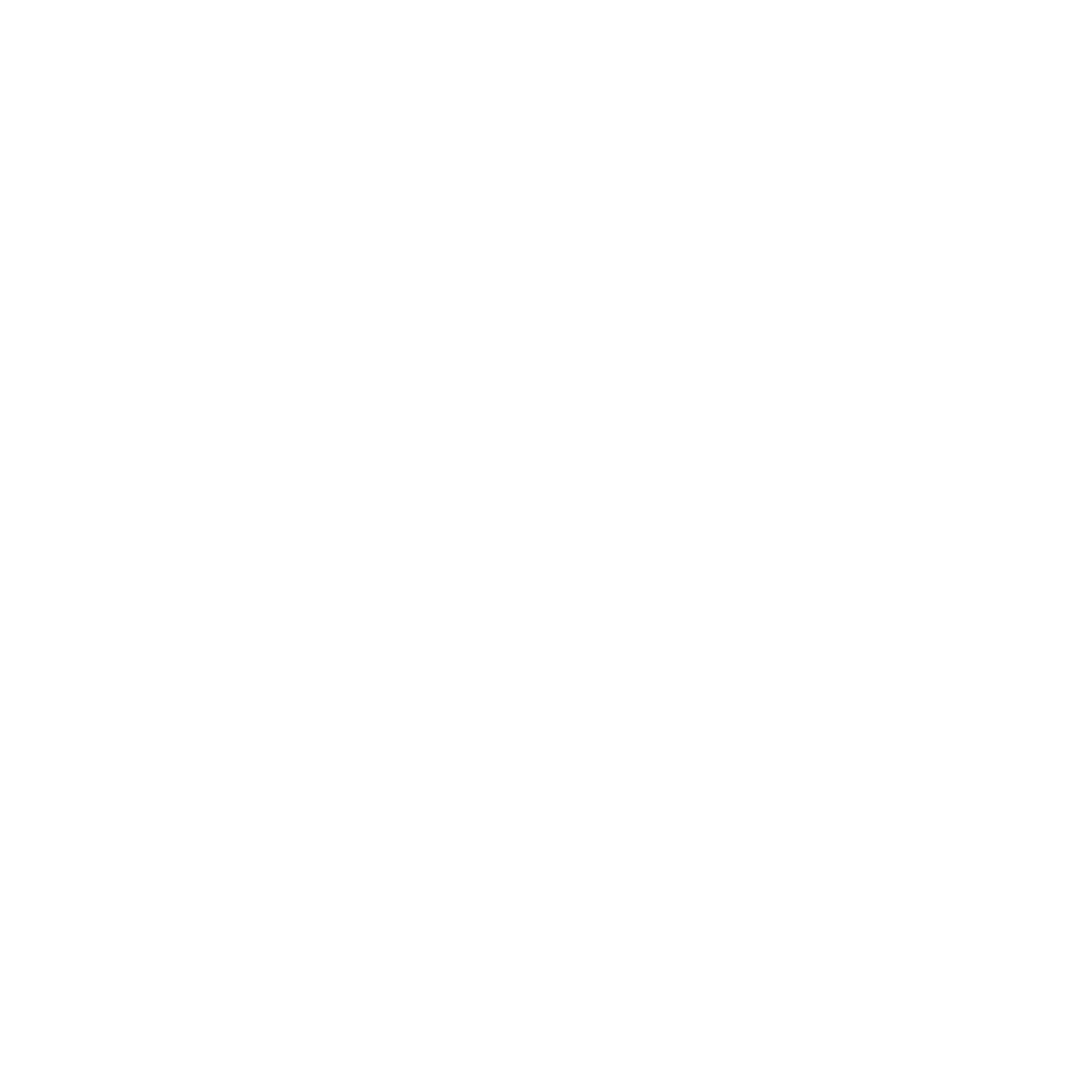 Flowscale Logo